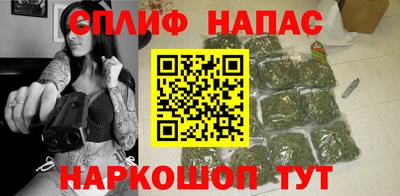 МДПВ Пушкино